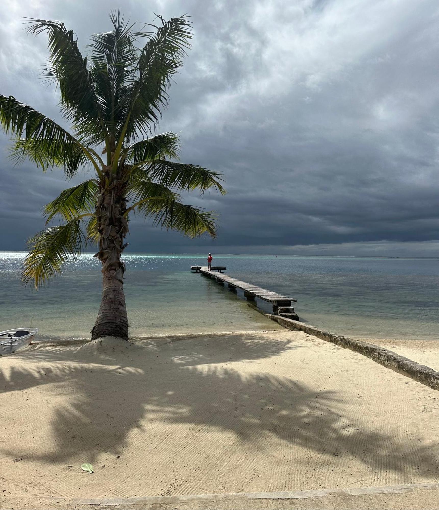 فيلا Chez Jay Moorea Beach House Maharepa  المظهر الخارجي الصورة